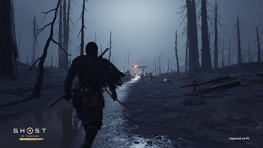 Ghost of Tsushima DIRECTOR'S CUT - Pre Order – image 5