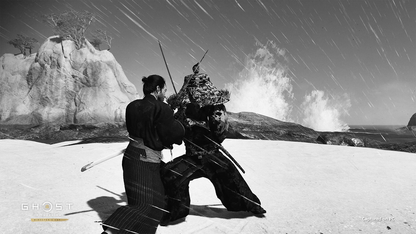 Ghost of Tsushima DIRECTOR'S CUT - Pre Order – image 7