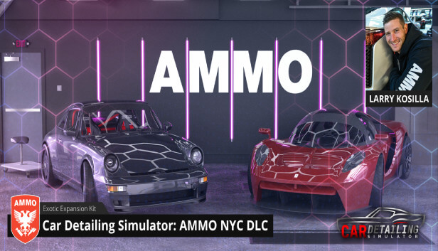 NOT IN USE Car Detailing Simulator - AMMO NYC DLC (PlayWay SA)