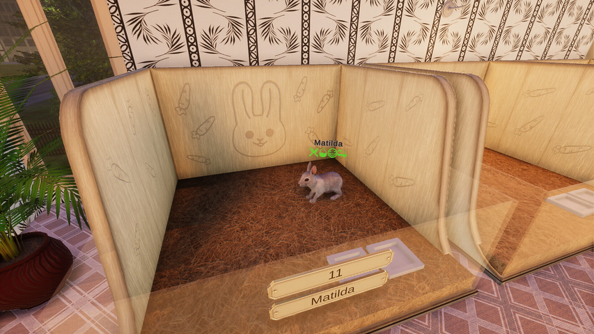 NOT IN USE Pets Hotel (PlayWay SA) – image 8