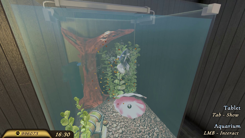 NOT IN USE Pets Hotel (PlayWay SA) – image 15