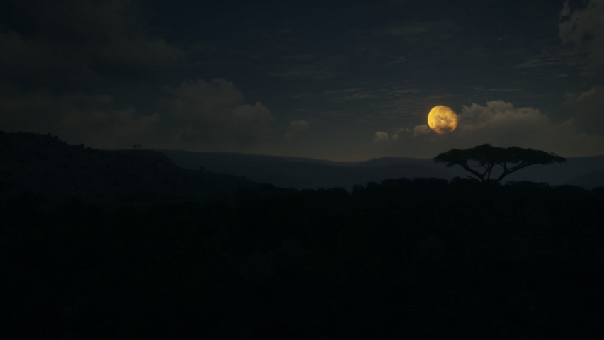 theHunter: Call of the Wild™ - Vurhonga Savanna – image 3