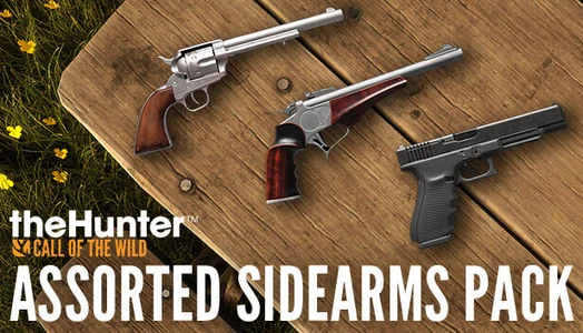 theHunter: Call of the Wild™ - Assorted Sidearms Pack -  for sale in Emirates from Games2all