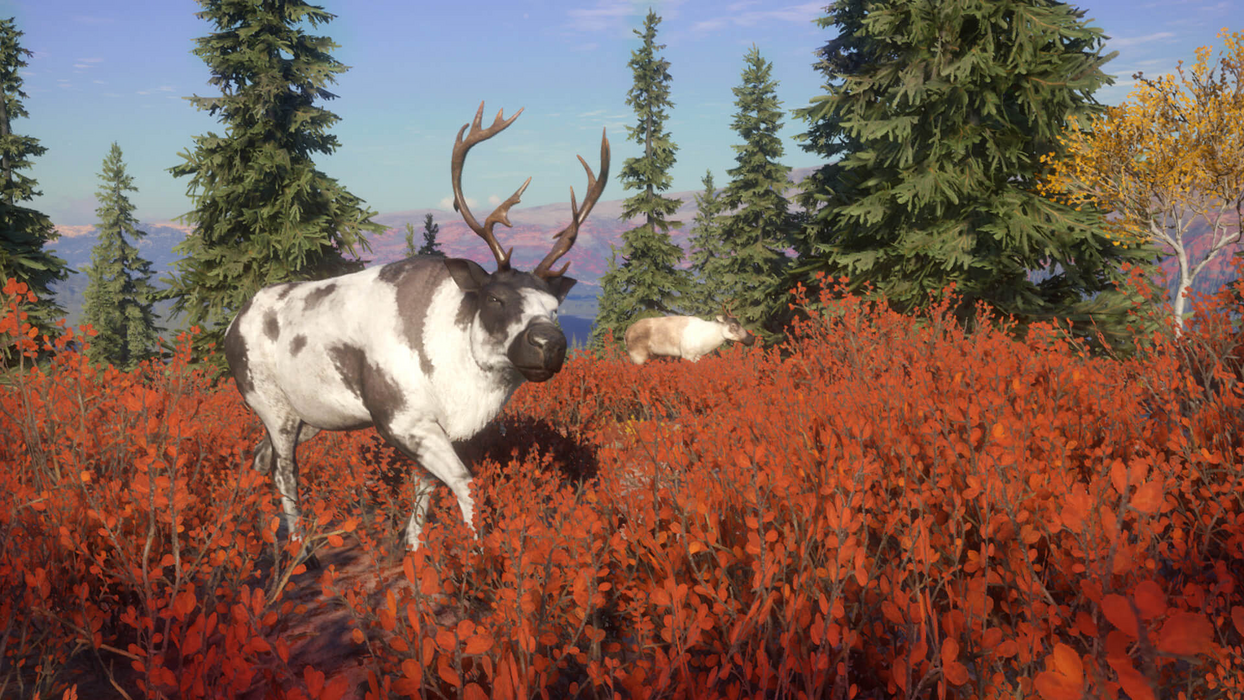 theHunter: Call of the Wild™ - Yukon Valley  for sale in Emirates from Games2all